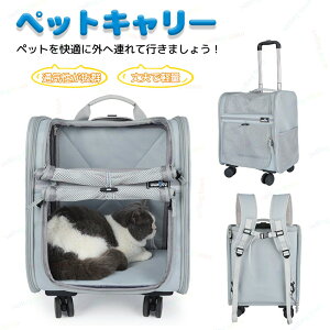 ybg L[obO LX^[t bN ܂肽 ybgJ[g L  bN J[g ybgobO L[bN L[J[g  L ybgL[  bN 