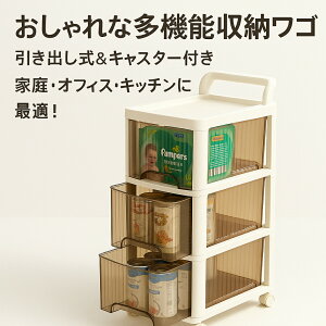 [S LX^[t Ԏ[ S oS vX`bN Lb`[ J[g h[S i ړ[bN XgbJ[ LX^[t X[{bNX