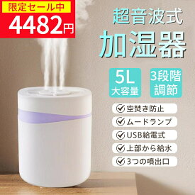 加湿器 卓上加湿器 超音波加湿器 大容量5L 上部給水 自動湿度調整 3段階加湿調節 USB給電 空気清浄 自動停止 空焚き防止 静音省エネ お手入れ簡単 LEDライト 小型 シンプル おしゃれ ホワイト 床置き/オフィス/部屋/美肌/乾燥/ウィルス/風邪対策 ギフト プレゼント