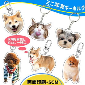 ペット メモリアル キーホルダー アクリルキーホルダー 5cm 10cm ペット 仏具 オリジナル かわいい ペット供養 アクリル ペット うちの子グッズ 犬 猫 お悔やみ 持ち歩き お守り ギフト プレゼント 装飾 プレゼントにも最適