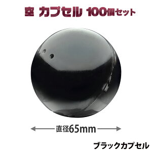 JvZgC}Vp y JvZ 65mm ubN×100 zJvZgC JvZ}V JvZgC}V[ JvZ JvZߋ JvZgC 