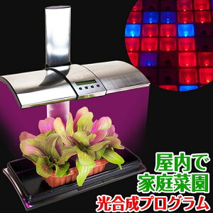 k͔|Lbg A琬 LEDCgt ݉p`F[ C[tbN y Lb`K[f LED Kitchen Garden z ؍͔|Lbg ͔|Lbg A琬Cg ƒ؉ | ͔| ϗtA K[