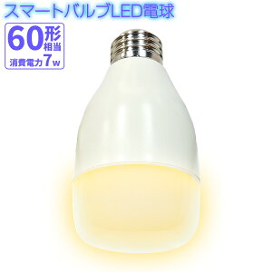 電球 蛍光灯 アレクサ アマゾンの人気商品 通販 価格比較 価格 Com
