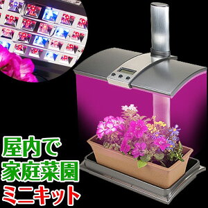 k͔|Lbg A琬 LEDCgt ȃXy[X^ RpNg ~jTCY y A[oK[f Urban Garden z ؍͔|Lbg ͔|Lbg A琬Cg ƒ؉ | ͔| ϗtA K[
