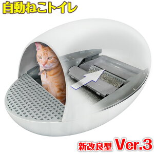  lRgC y Cat'sEgg Ver.3 zCg z RpNg h[^ ZT[t Uh~ юUȂ | |ȒP S~ܑΉ LgC