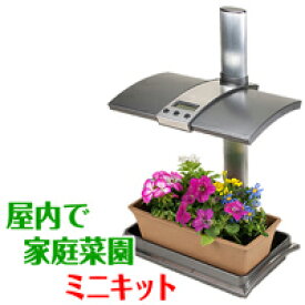 楽天市場 水耕栽培 花の通販