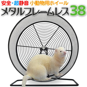 pzC[ y ^t[X 38 z38cm 񂵎 t[X p zC[xgt X^h P[W| É S ybg V}X fO[ nlY~ `` v[h