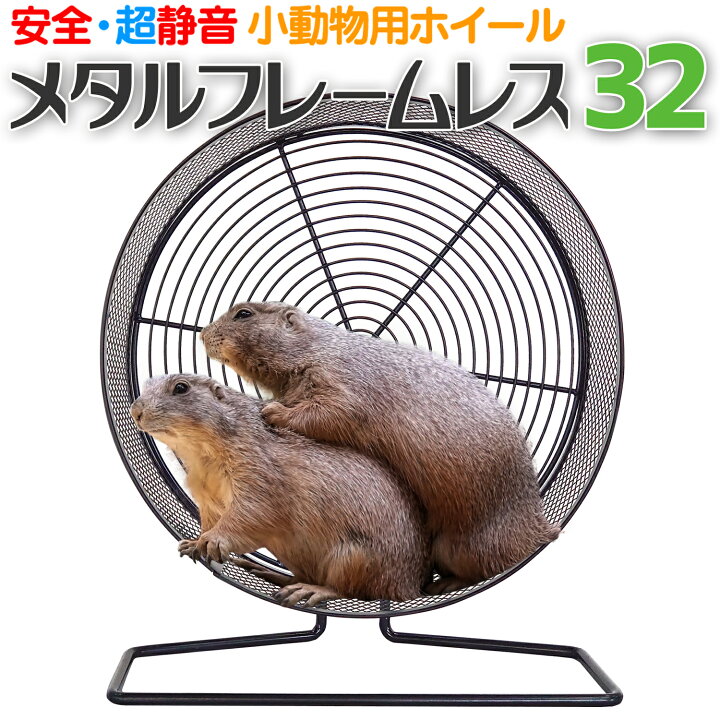 楽天市場】小動物用ホイール 【 メタルフレームレス 32 】32cm 回し車 