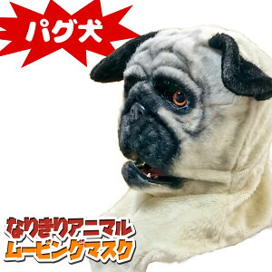  Aj}[rO}XN y PugDog pO z  Aj}}XN A [rO}XN Ȃ肫}XN }XN  蕨  RXv  nEB N