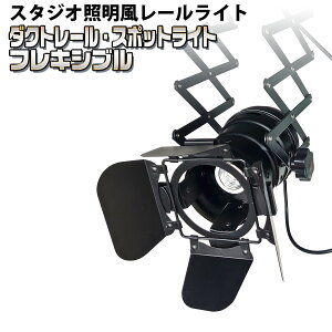 _Ng[p X|bgCg tLVu LkA[ y CH-R24FL z dʔ E26Ή [Cg CeBO[ C_XgA rO _CjO X^WI Xe[W 