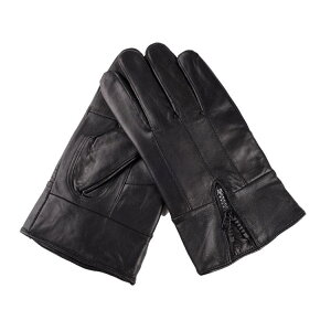  jp H~ ۉ ڐG XN[  h h O[u N  h ] oCN ^](x2)