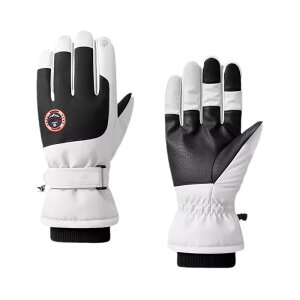  jp p XL[O[u h h O[u N  X}zΉ ۉ h AEghA oCN F F J[LF DF sNF F 킢 K[[