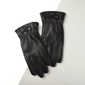  fB[X p ~p rv O[u X}[gtHΉ h g N ] oCN ʋ ʊw AEghA 