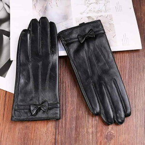  fB[X p V[vXL O[u H~ h g N X}zΉ ] oCN ʋ ʊw Vv 킢 