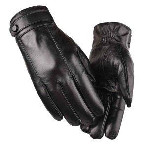  jp H~ rv oCN O[u h g N  U[O[u  h 􉽊w͗l ʋ ʊw