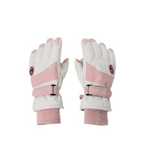  fB[X h h X}[gtHΉ H~ O[u Ⴉ oCN ] ʋ ʊw N 킢