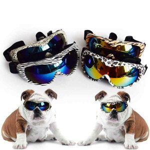 ���p �T���O���X ��^�� �S�[�O�� �q���E�� ���O���΍� �h�� �� �ڂ̕ی�