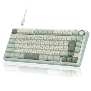 RK ROYAL KLUDGE R75 ���J�j�J���L�[�{�[�h�B