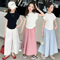 楽天市場】子供 服 170 センチ（トップス｜レディースファッション）の通販