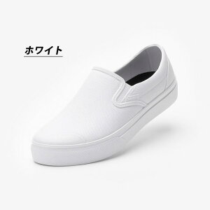 ی }_56 hV[Y Y fB[X V[g CXj[J[