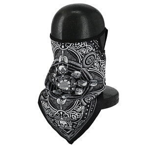 CY(RIDEZ) RIDEZ o_i EarsLoops TBE1081 PAISELY3