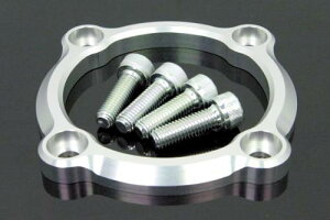 SPi^PKjz[nuO (Vo[) L[ESEL[BAJAEL[FI(06-10-0013)