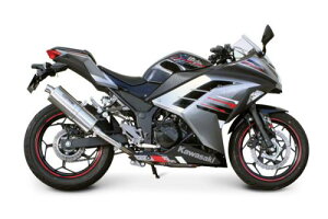 SPi^PKjp[TCgI[o}t[ Ninja250@EX250L-A00049`/13-04-0025