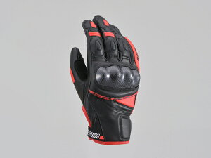 fCgiiDAYTONAjHBG-036 X|[cV[gO[u ubN/bh(15823)