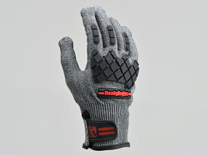 fCgiiDAYTONAjHBG-060 ϐؑnO[u ubN/bh (TCYFL)(19980)