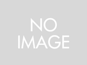 yKzfCgiiDAYTONAj48^R[^[KIT/L[125 b27813