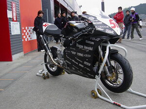 J-TRIPiJ-gbvjJ-STYLE ~jtgX^h bh [JT-116SRD]