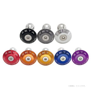 ZETA (�W�[�^) �o�[�G���h�v���O 35mm�^�C�v �`�^���J���[ F5197