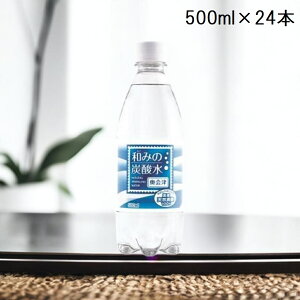 【当店PB商品】 高速道路SAPA限定商品 健康志向 自然の恵み 天然炭酸水 店長おすすめ 当店人気商品 国産 天然 炭酸水 微炭酸 高速道路人気商品 和みの炭酸水 500ml×24本ペットボトル 1ケース奥