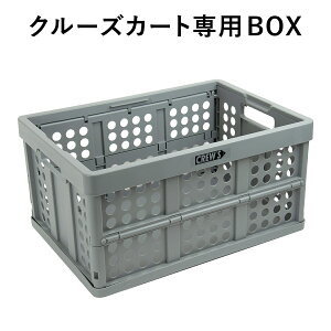 N[YJ[gpBOX S-65 ǉp 1 Pi CREW'S/N[Y