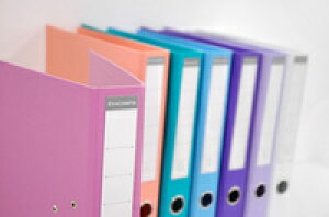 EXACOMPTA 2A[`t@C pXe A4 ^e^ GOUR^ o[A[`t@C oC_[ [ ItBX  Xe[Vi[ [ tX Jt fUC CO A pXe