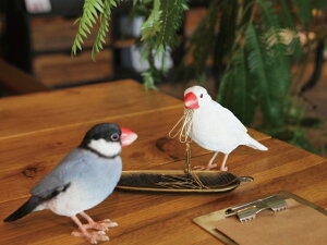 ̃IuWF o[fB r BIRDIE BILL   magnet.inc  fUC [ C[ItBX   u u }Olbg 킢 A CeA  G v[g  