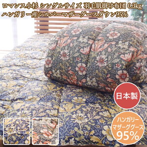 }X Hє|zc VO  _EPbg { HєӂƂ nK[Y}U[O[X_E