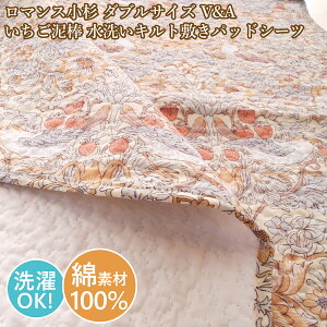}X@_u@V&A@D_@􂢃Lg~pbhV[c@n@100fށ@i140cm×205cmj_uTCYyXIXXz