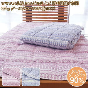 }X Hє|zc VO  _EPbg HєӂƂ 100 O[X_E VOTCY