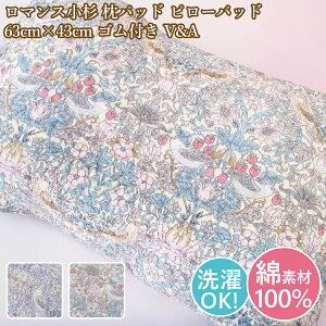 }X pbh s[pbh 63cm×43cm St 􂦂 Rbg 100y؁z