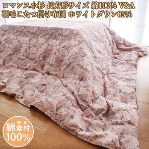 }X ` Hтzc H _E85 zc `TCY ̃Lg 100 rOPbg