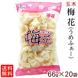 【最大700円OFFクーポン】梅花 うめふぁー 66g×20袋セット 送料無料 梅味 パウダー 沖縄お土産 お取り寄せ おやつ おつまみ お菓子 玉木製菓 スナック 揚菓子 駄菓子 サクサク ローカル 沖縄 ご当地