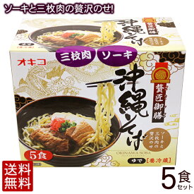 楽天市場 オキコ 沖縄そばの通販