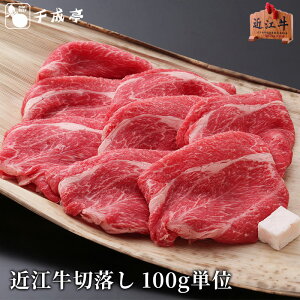 uߍ] ؂藎Ƃ 100gPʁva Y  ؗ uh Ă Ԃ   O Mtg v[g  j j 