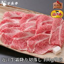「近江牛 霜降り 切り落とし 100g単位」和牛 国産 牛肉 切落し ブランド牛 すき焼き しゃぶしゃぶ 肉 お肉 お中元 御中元 夏ギフト 2025 グルメ ギフト プレゼント お取り寄せ お祝い 内祝い 御礼