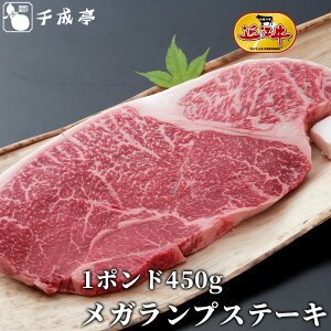 uߍ] Kv Xe[L 1 450gv1|h |h a Y v Xe[L  uh   Ε Ε ~Mtg 2025 O Mtg v[g  j 