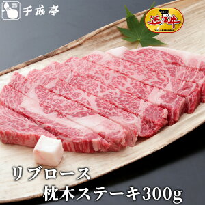 uߍ] u[X  Xe[L 300gva Y Xe[L  uh   Ε Ε ~Mtg 2025 O Mtg v[g  j j 