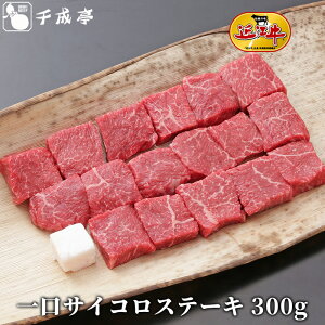 uߍ]  TCR Xe[L 300gva Y Xe[L  uh   Ε Ε ~Mtg 2025 O Mtg v[g  j j 