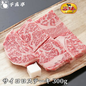 uߍ] TCR Xe[L 300gva Y Xe[L  uh   Ε Ε ~Mtg 2025 O Mtg v[g  j j 