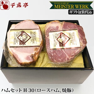 yMtg㍞zu}CX^[xN nZbg H-30v ij wj Mtg v[g j j Ԃ